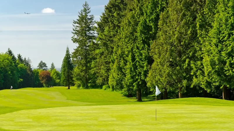 putting green with trees in background